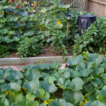 The “No-Dig” Garden Bed Setup That Makes Spring Planting Faster and Easier