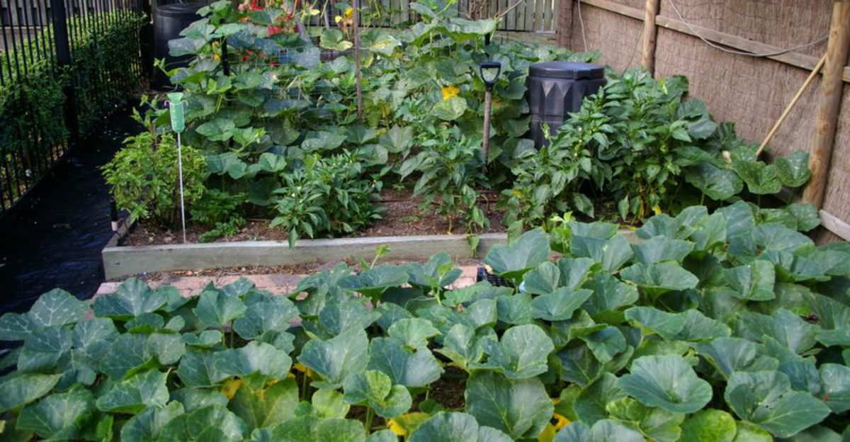 The “No-Dig” Garden Bed Setup That Makes Spring Planting Faster and Easier