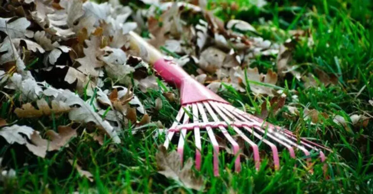 The One Spring Cleanup Mistake That Can Set Your Garden Back Weeks