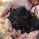 The Simple “Soil-First” Spring Routine Gardeners Are Swearing By in 2026