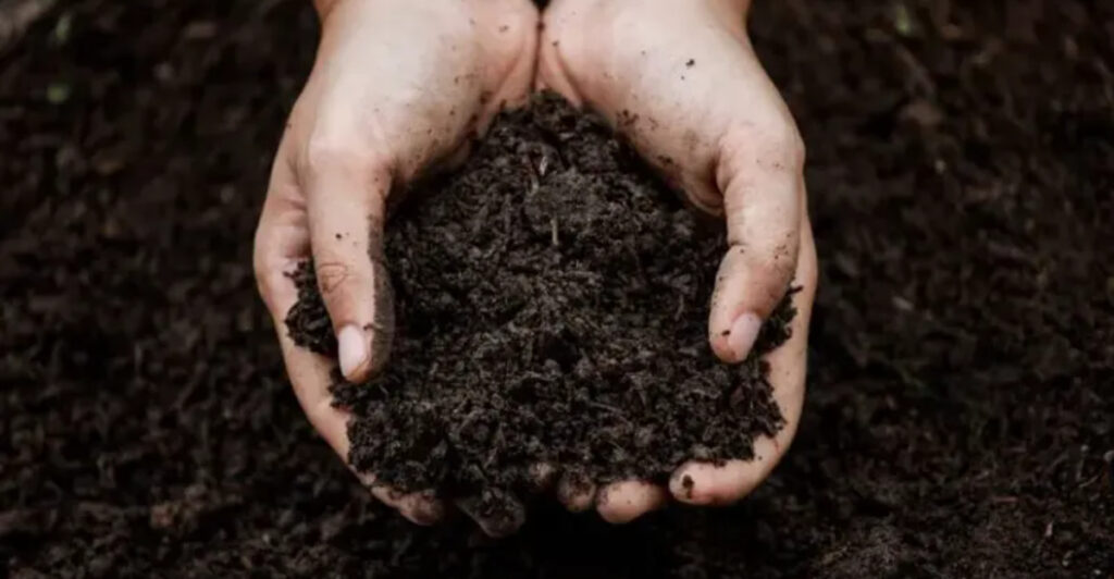 The Soil Fix Smart Gardeners Make Before Planting Anything in Spring