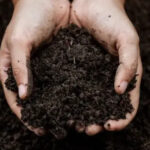 The Soil Fix Smart Gardeners Make Before Planting Anything in Spring