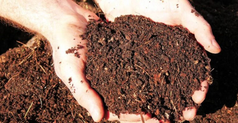 What to Add to Tired Garden Soil Before the New Season Begins