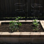 Your Garden Beds Need This Before Spring Takes Off