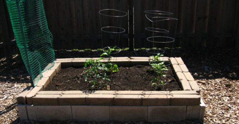 Your Garden Beds Need This Before Spring Takes Off