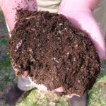 Your Spring Soil Is Probably Lacking This Key Ingredient – Here’s the Fastest Way to Fix It