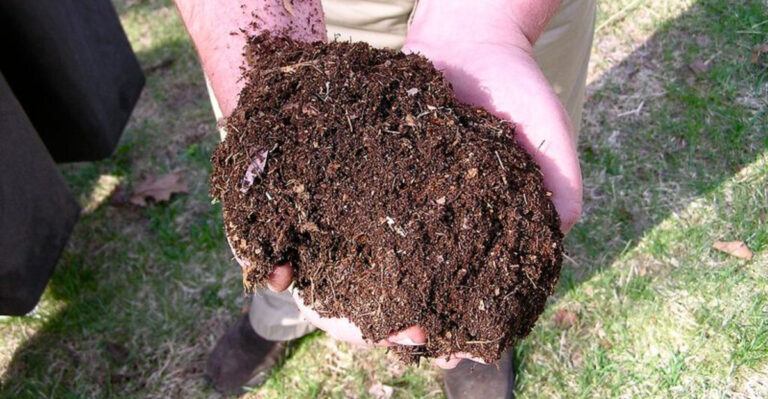 Your Spring Soil Is Probably Lacking This Key Ingredient – Here’s the Fastest Way to Fix It