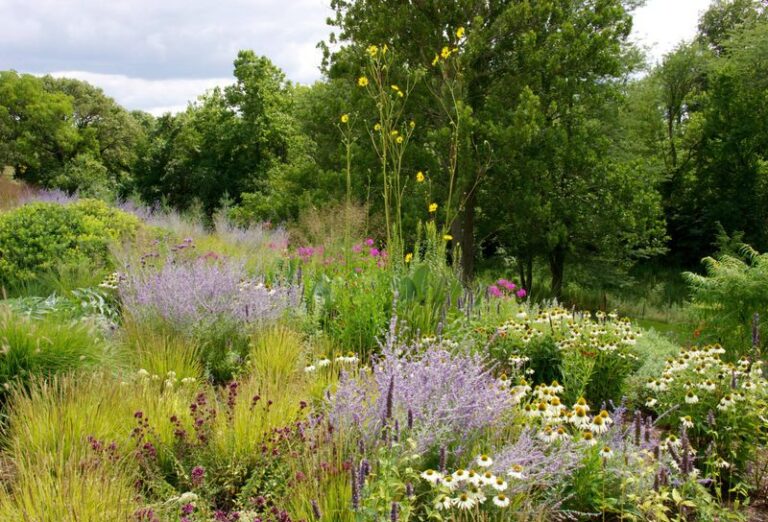 11 Perennials That Do More Than Bloom — They Pull Birds, Bees, and Butterflies Into Your Yard