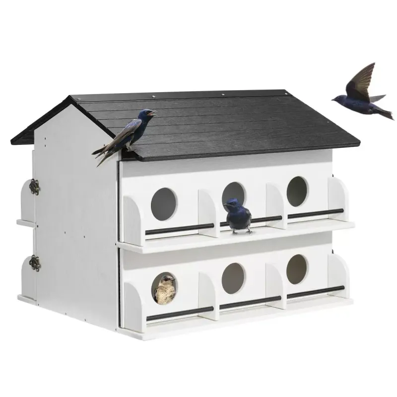 Purple Martin