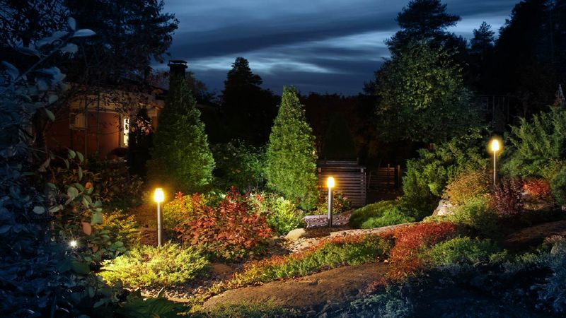 Turn Off or Shield Your Outdoor Lights