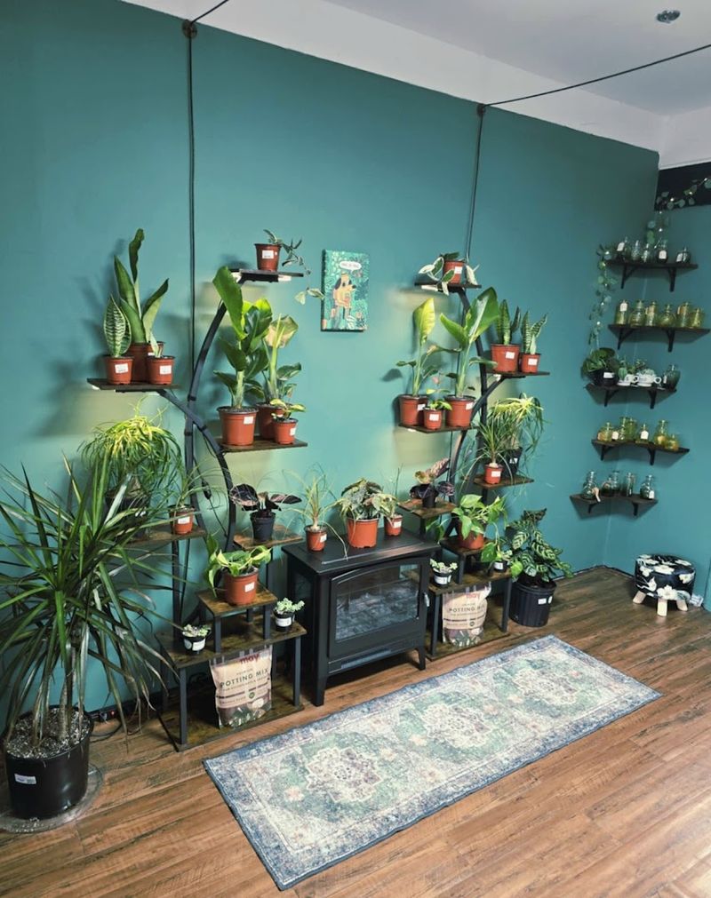 Planters and Gifts Beyond the Greenery