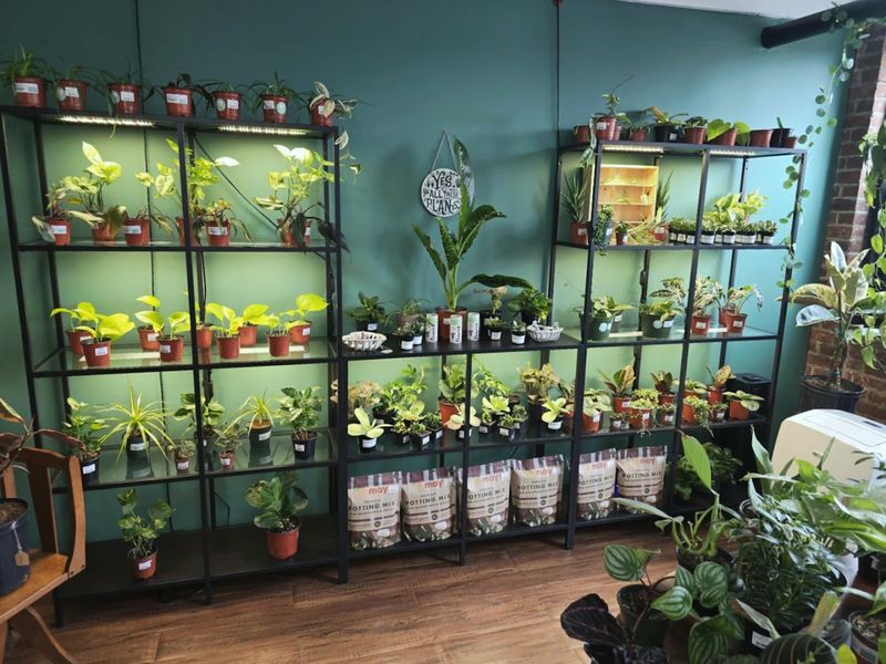 Plants Raised to Actually Thrive