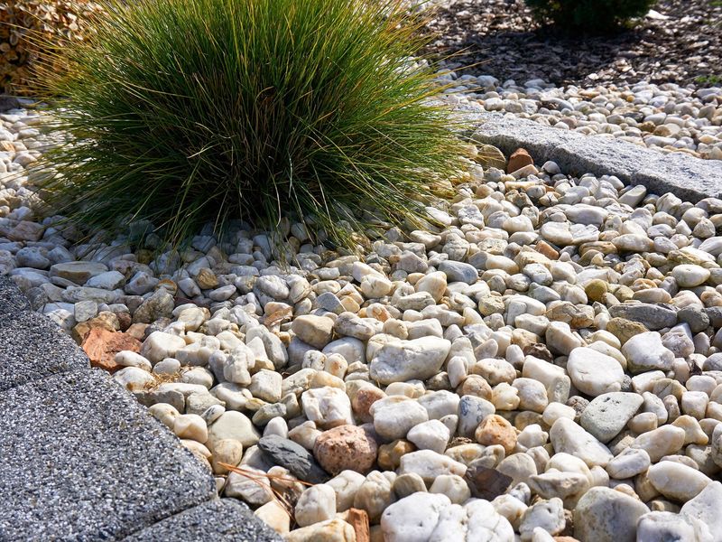 A lizard-friendly yard still must meet fire-safety rules
