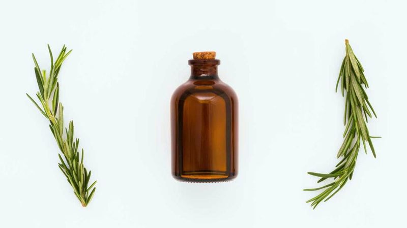A potted plant is not the same as concentrated essential oil A potted plant is not the same as concentrated essential oil