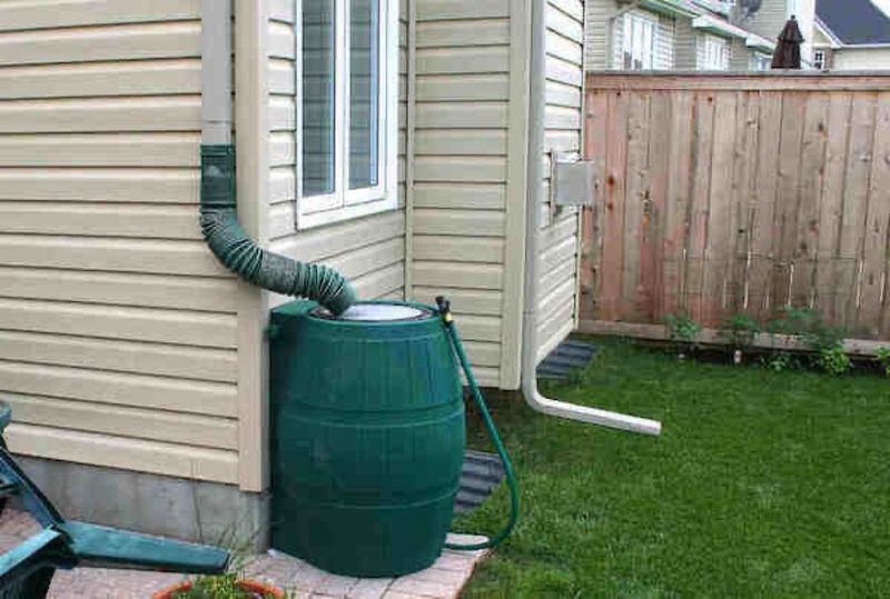 A rain barrel can cut hose trips, not guarantee a water supply all summer A rain barrel can cut hose trips, not guarantee a water supply all summer