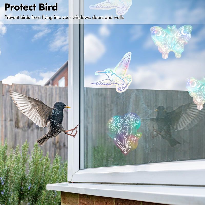 Protect birds and strengthen the natural food supply