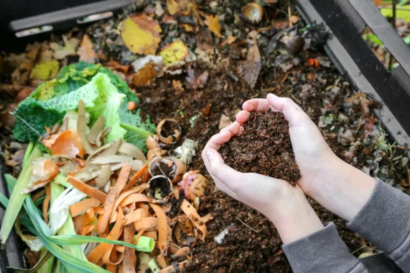Mix In Compost for Gentle, Steady Nutrition