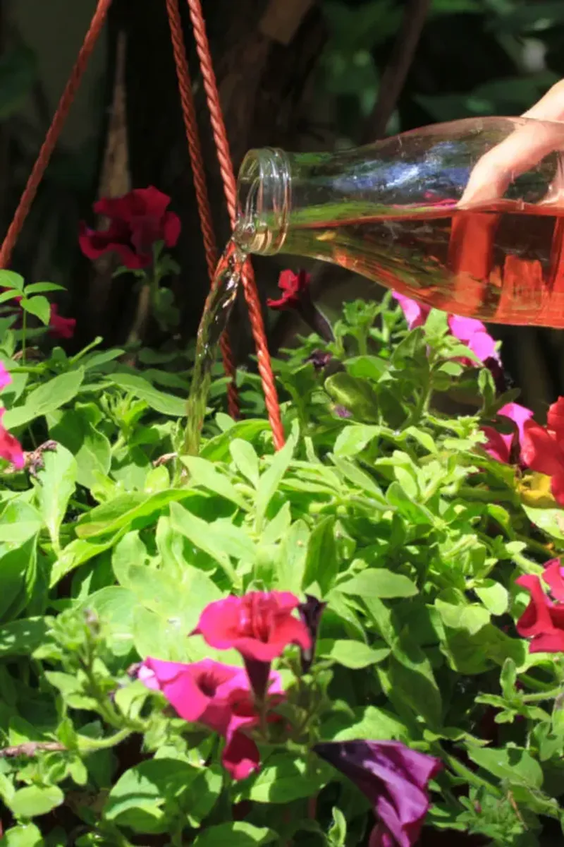 Adjust feeding to the season and the container
