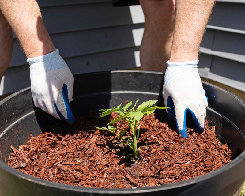 Adjust for heat, mulch, soil, and containers Adjust for heat, mulch, soil, and containers