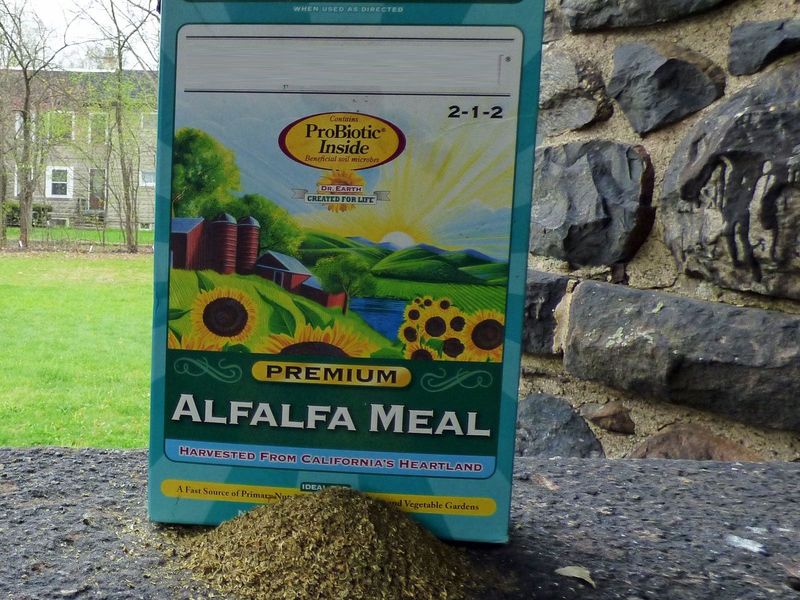 Alfalfa Meal