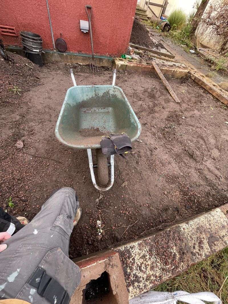 An obstructed root zone redirects the taproot An obstructed root zone redirects the taproot