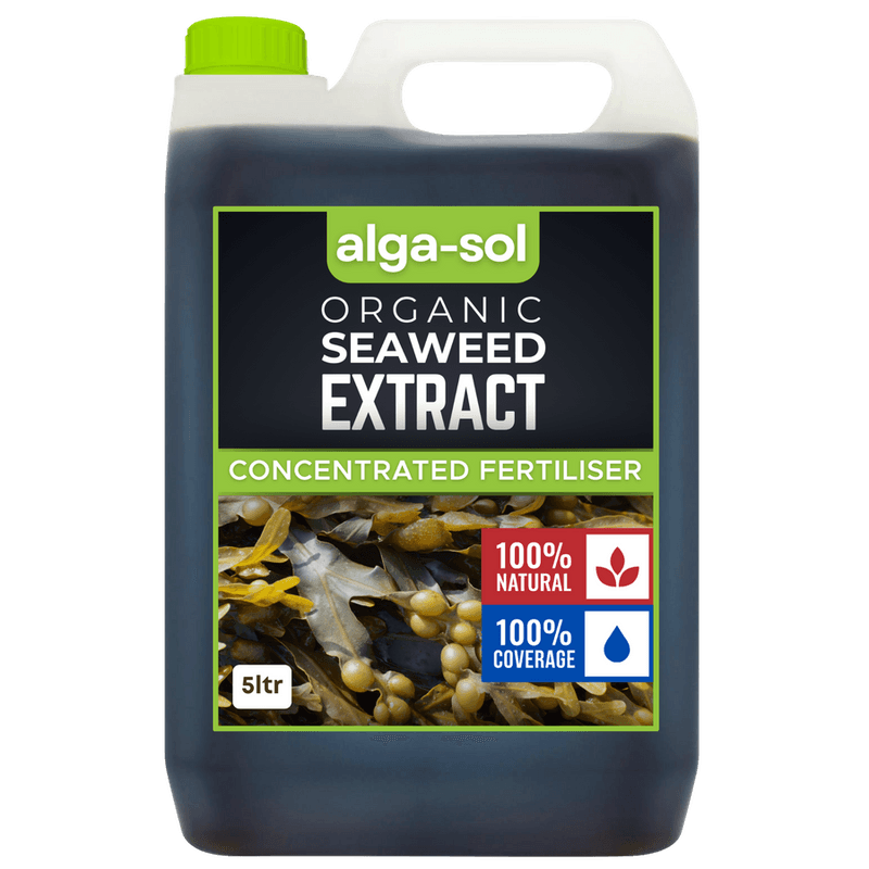 Apply Kelp or Seaweed Extract for Micronutrients Apply Kelp or Seaweed Extract for Micronutrients