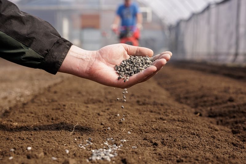 Avoid fertilizer and pesticide choices that amplify stress