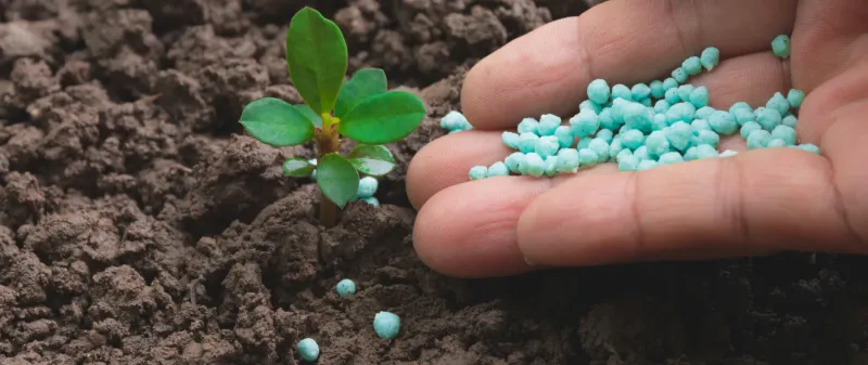 Avoid fertilizer reactions that add new stress Avoid fertilizer reactions that add new stress