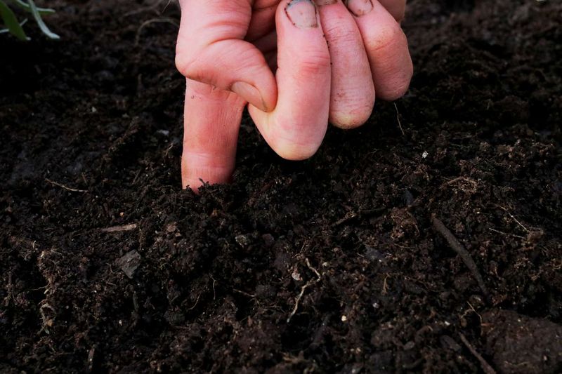 Avoid panic-soaking soil that stays wet