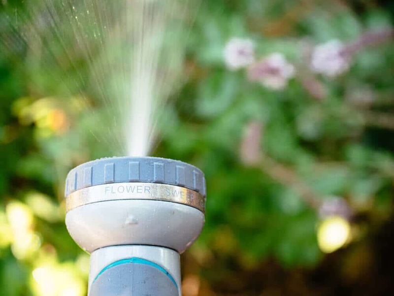 Avoid quick fixes that cannot repair heat damage Avoid quick fixes that cannot repair heat damage