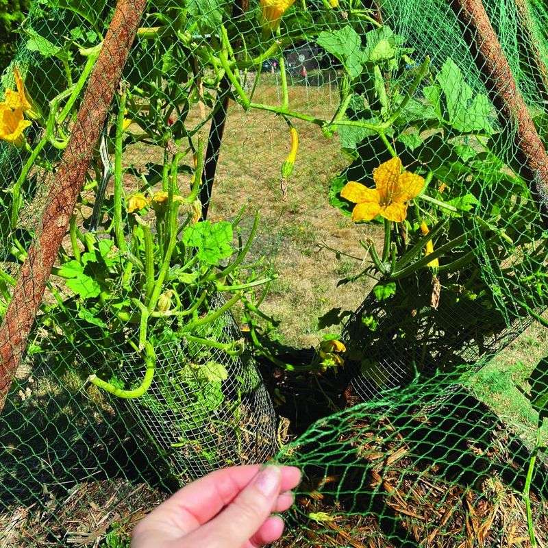 Measure success by a safer, protected bed