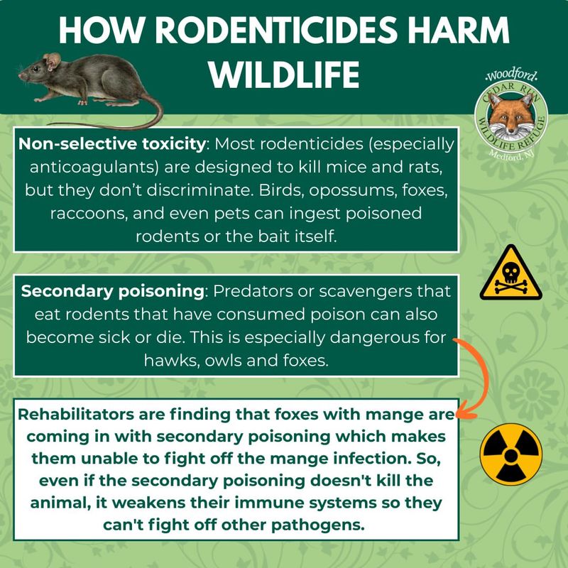 Avoid shortcuts that can poison the snake and other wildlife