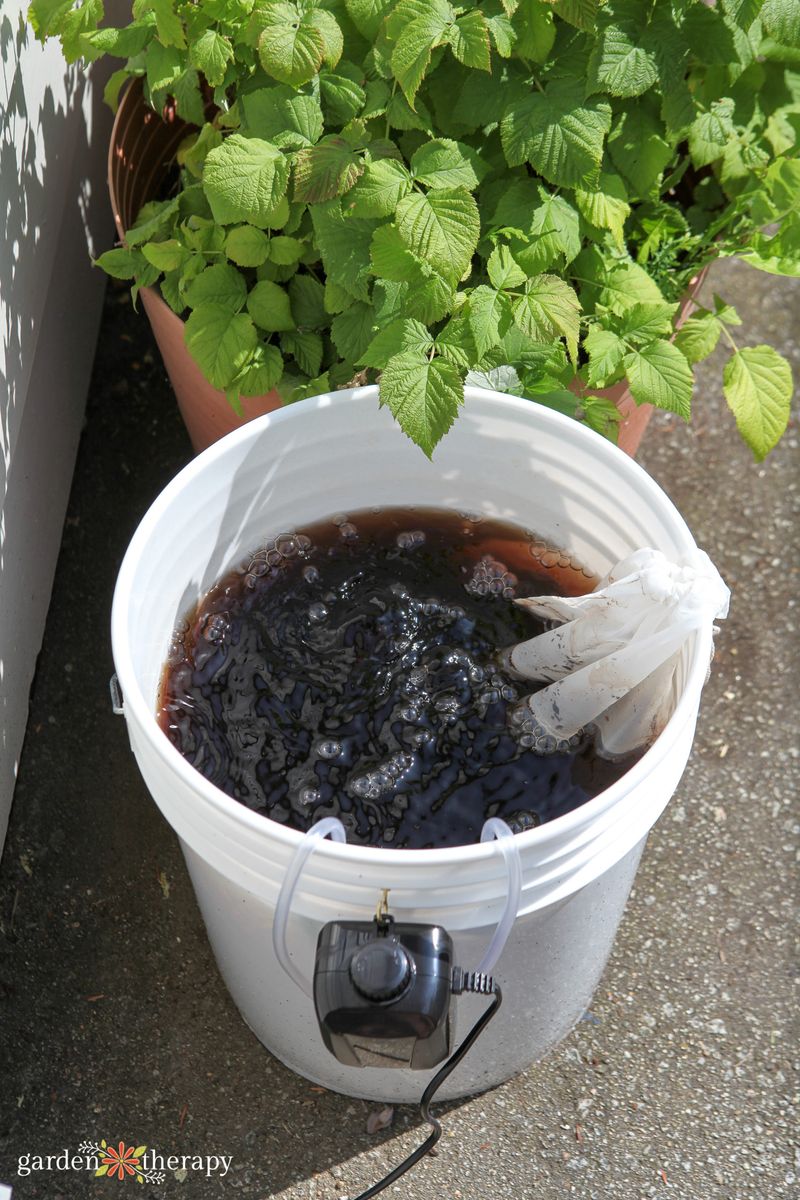 Brew a Batch of Compost Tea Brew a Batch of Compost Tea