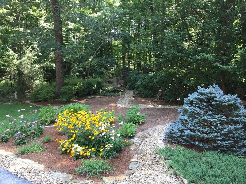 Build Cardinal Habitat With North Carolina Plants Build Cardinal Habitat With North Carolina Plants