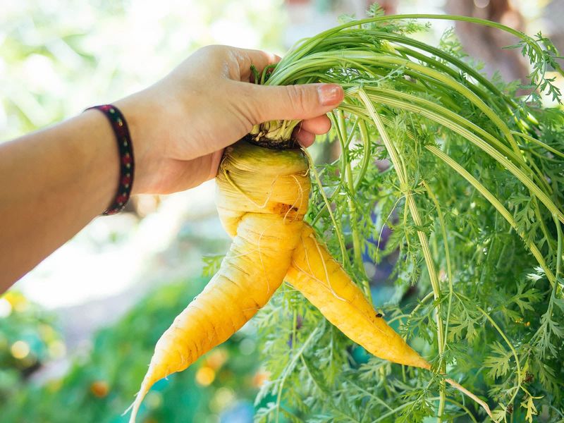 Build a clear path for the taproot