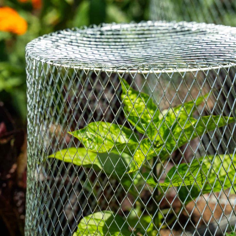 Use a closed mesh cage for individual plants