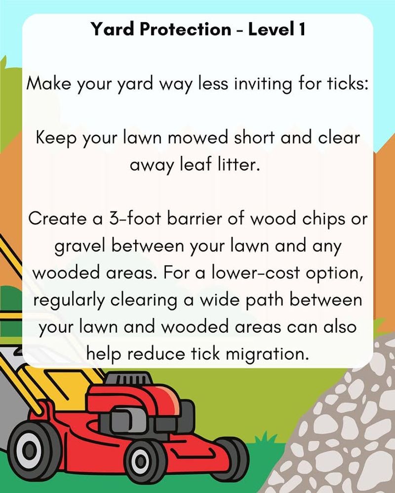 Build a tick-safer yard instead of spraying at the fox