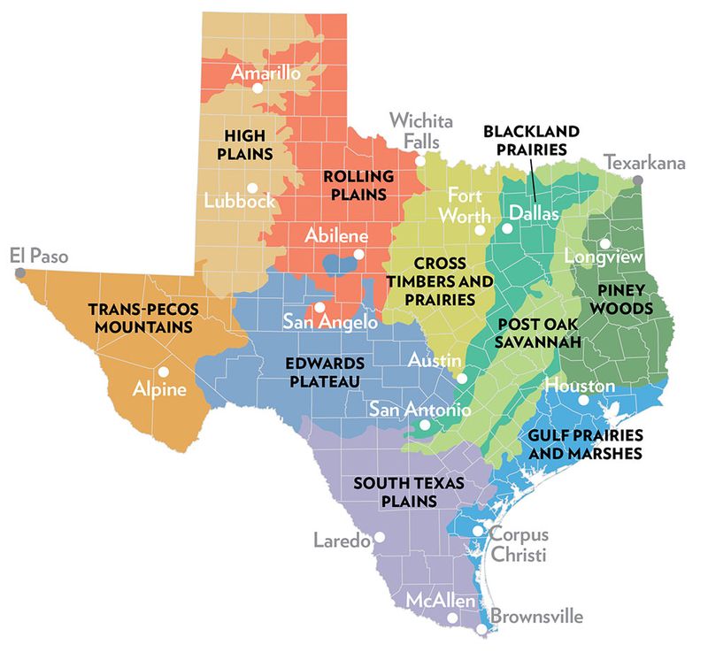 Match the habitat plan to your Texas region