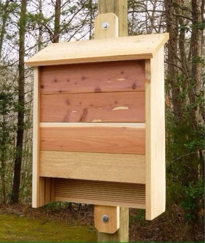 Build or buy a house bats can grip and use Build or buy a house bats can grip and use