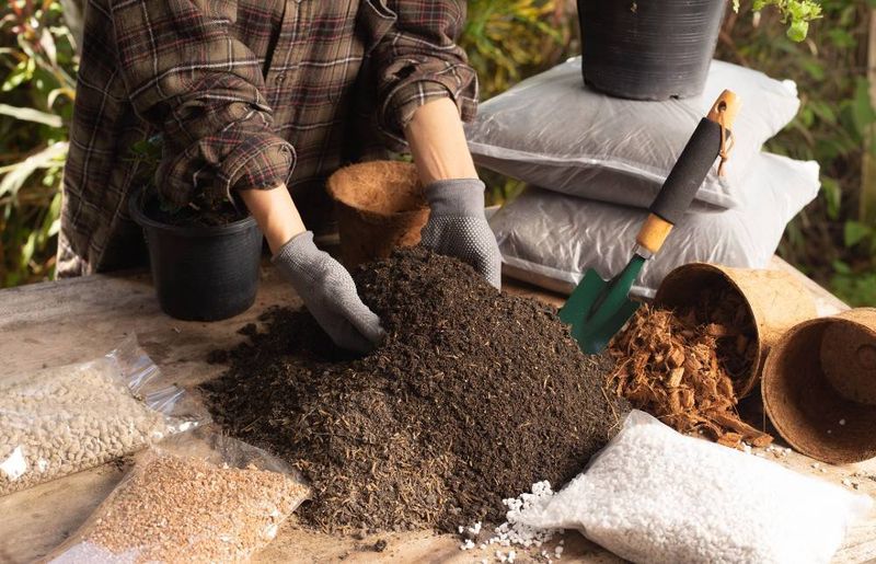 Build the root zone around drainage Build the root zone around drainage