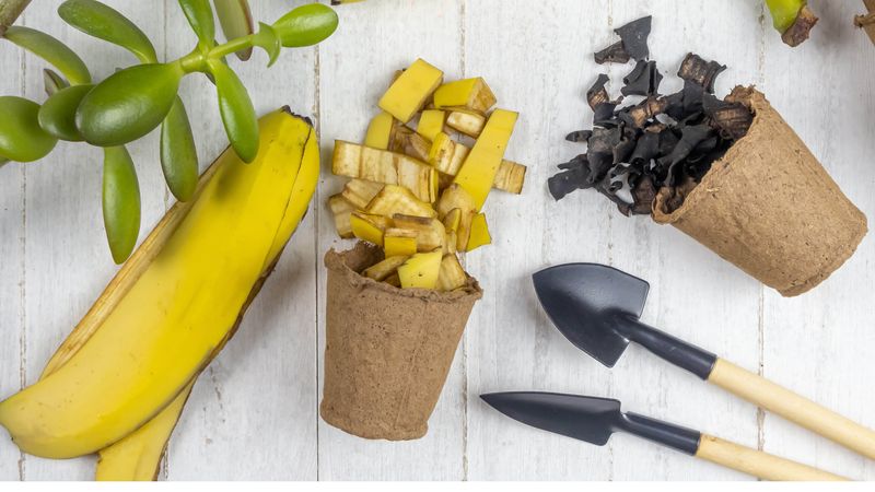 Bury a Banana Peel Potassium Trick
