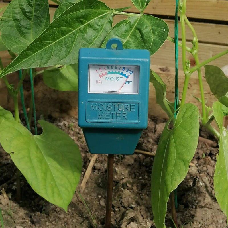 Check Soil Moisture Before You Water Check Soil Moisture Before You Water