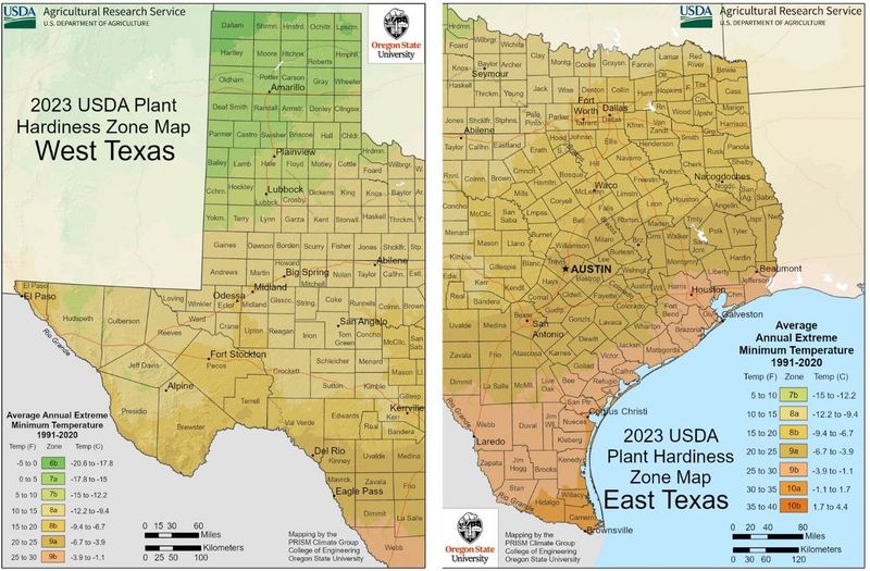 Check your Texas conditions before you plant Check your Texas conditions before you plant