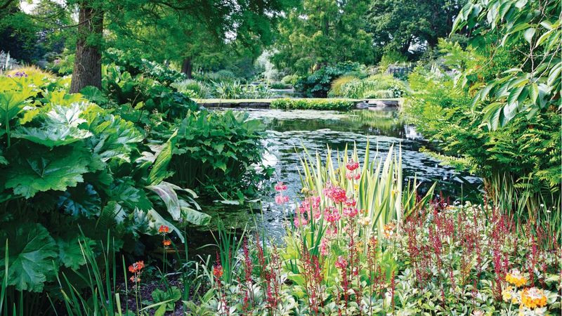 Build an insect-rich, roost-friendly surrounding habitat