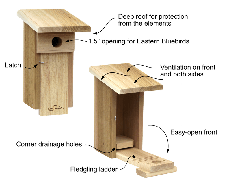 Choose a box built for Eastern Bluebirds