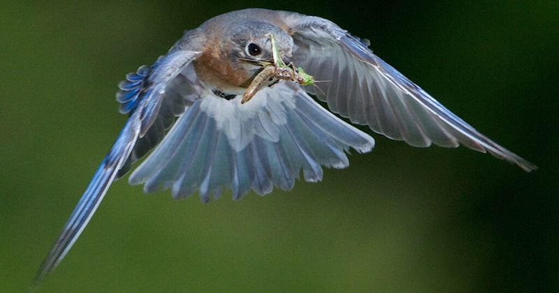 Choose measured action now and habitat for later