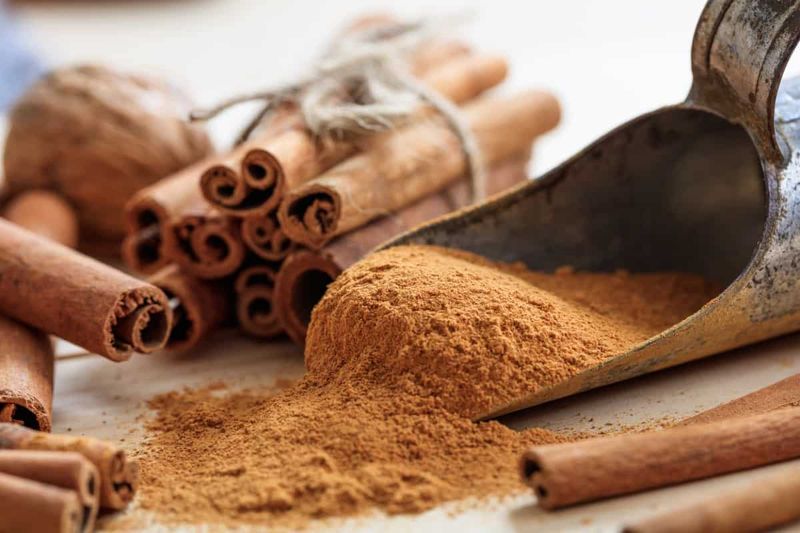 Cinnamon Cinnamon