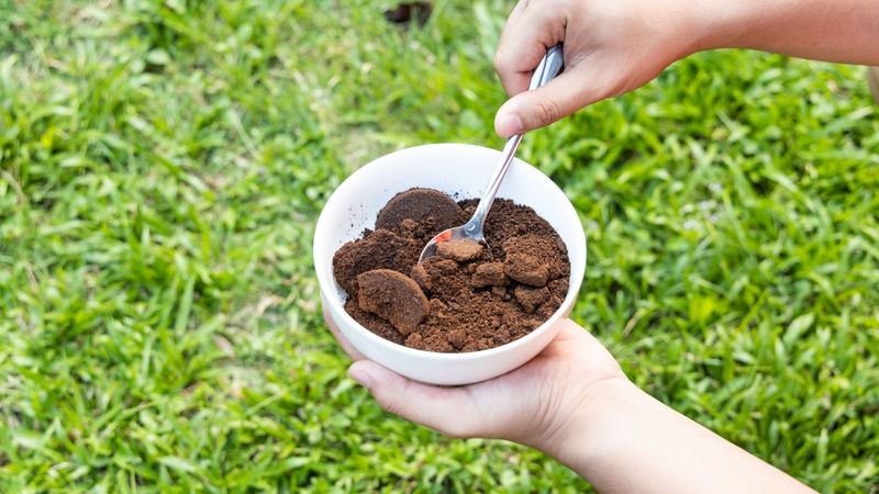 Coffee Grounds (Used Sparingly) Coffee Grounds (Used Sparingly)