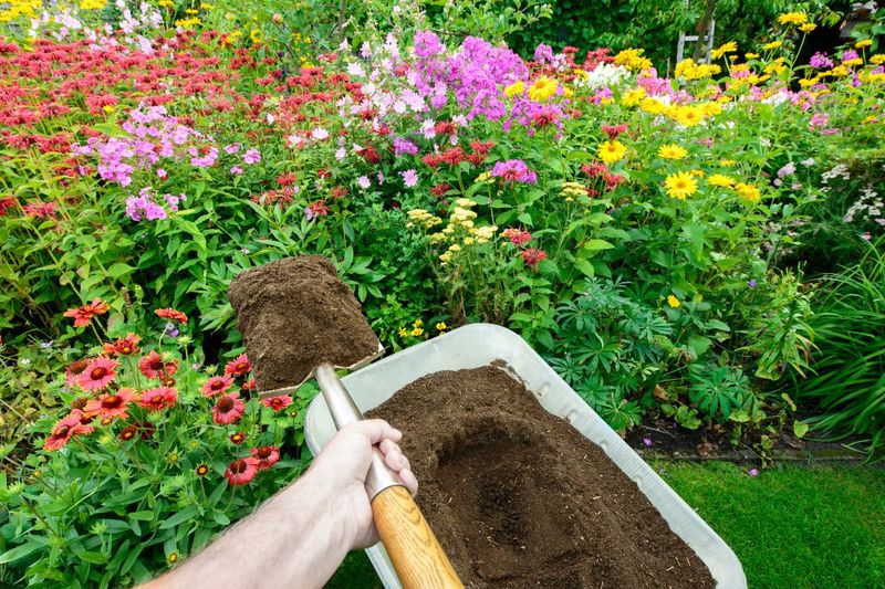 Compost