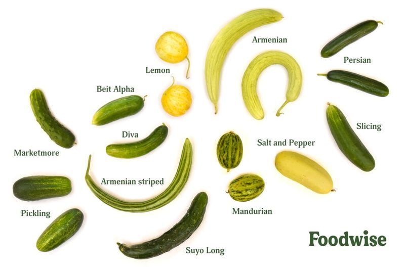 Consider cultivar, weather, and other causes